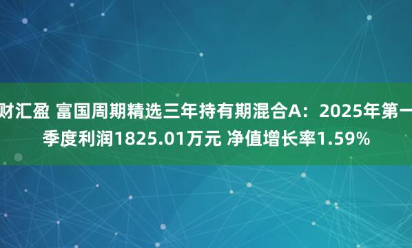 财汇盈 富国周期精选三年持有期混合A:2025年第一季度利润1825.01万元 净值增长率1.59%