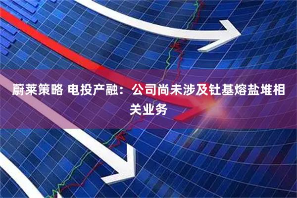 蔚莱策略 电投产融:公司尚未涉及钍基熔盐堆相关业务