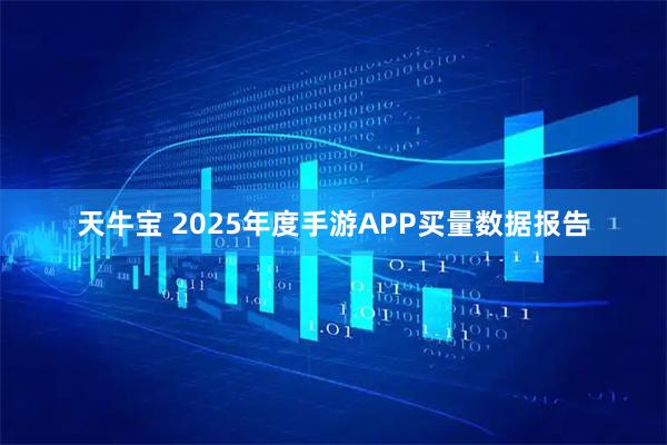 天牛宝 2025年度手游APP买量数据报告