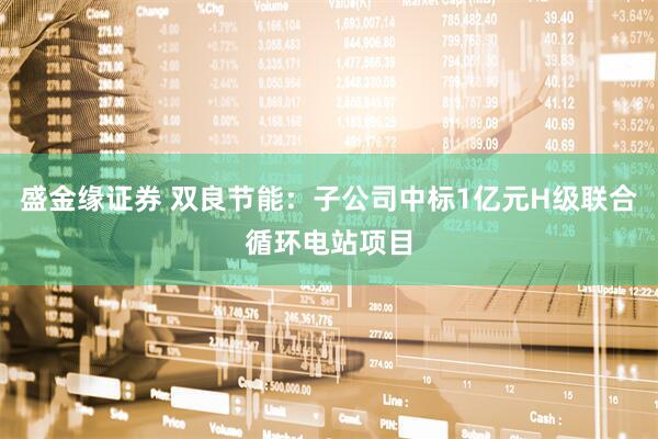 盛金缘证券 双良节能：子公司中标1亿元H级联合循环电站项目